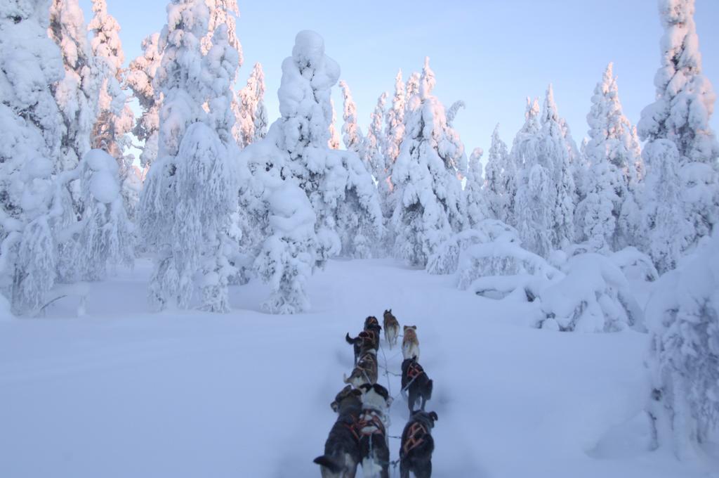 Guesthouse Husky Ivalo Exterior photo